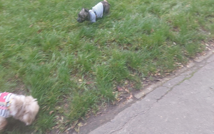 Zbiórka Na start żeby stanąć na nogi - zdjęcie główne