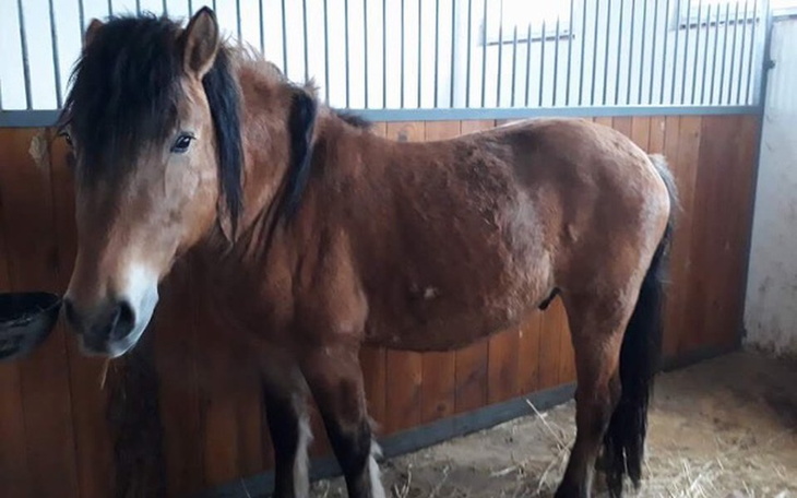 Zbiórka Faktura za leczenie Ignasia... - zdjęcie główne