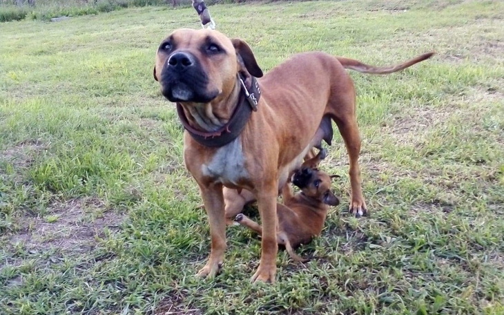 Zbiórka WyrokiŁAŃCUCHY - zdjęcie główne