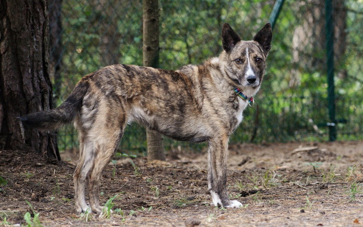 Zbiórka Lusia potrzebuje wsparcia - zdjęcie główne