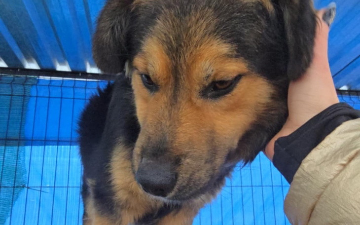 Zbiórka Prawie mikołajkowy cud - zdjęcie główne