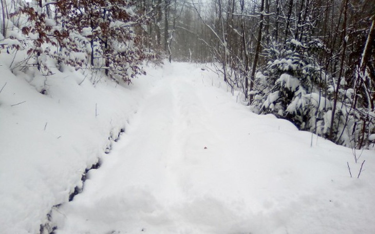 Zbiórka Na opal-przetrwanie mrozow, zimy - zdjęcie główne