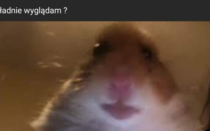 Zbiórka Na lepszy tablet graficzny - zdjęcie główne