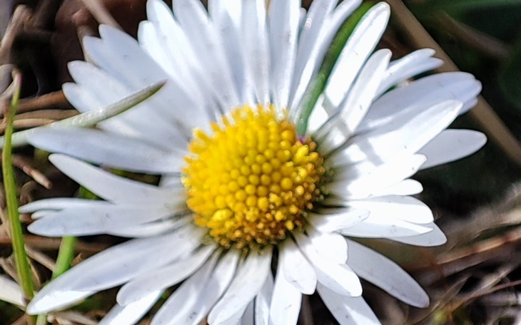 Zbiórka Na spełnienie marzeń fotograficz - zdjęcie główne