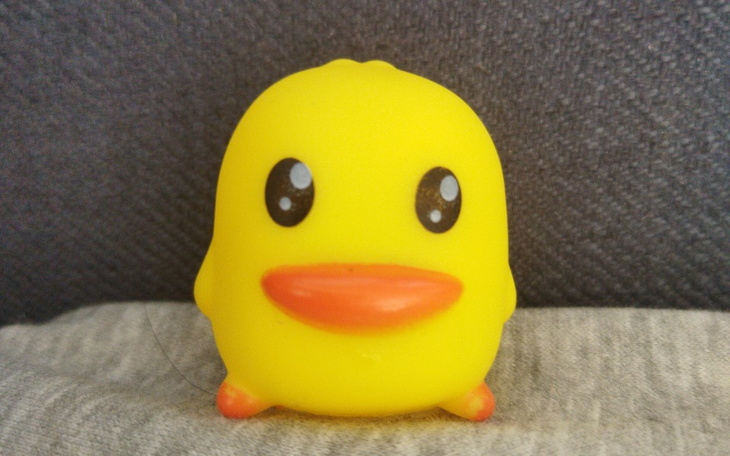 Zbiórka Dsp - zdjęcie główne