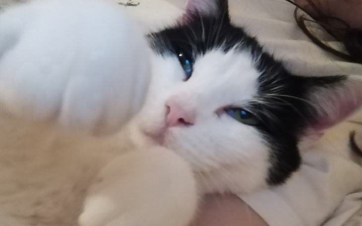 Zbiórka Na prezenty dla bliskich - zdjęcie główne