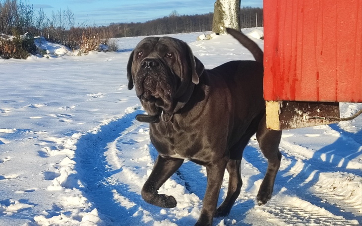 Zbiórka Pomagamy Swoim - zdjęcie główne