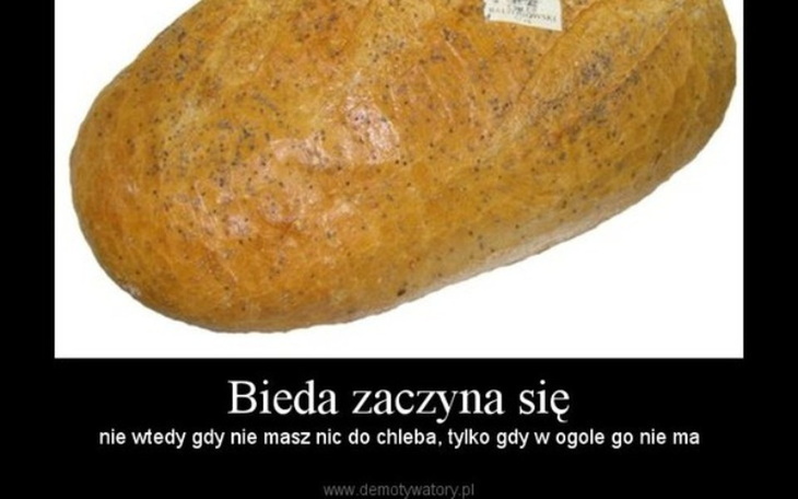 Zbiórka Na jedzenie dla bezdomnego Litwi - zdjęcie główne
