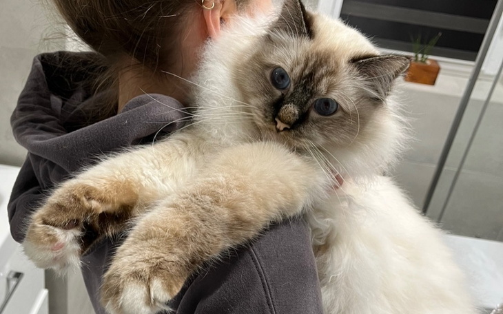 Zbiórka Uratuj Nelsona - WALKA O ŻYCIE - zdjęcie główne