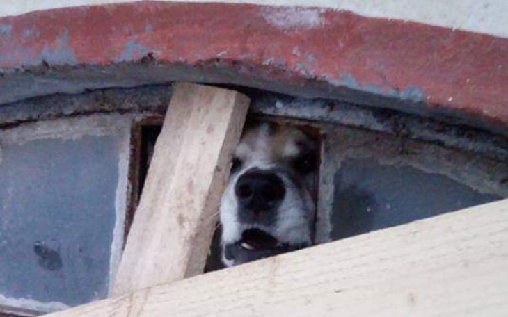 Zbiórka Hotel, albo eutanazja! - zdjęcie główne