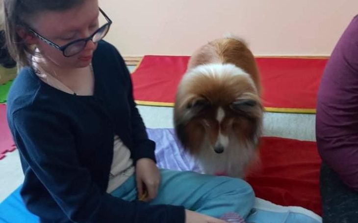 Zbiórka Kotek do felinoterapii dla córki - zdjęcie główne