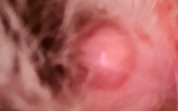 Zbliżenie na nieostry obraz, nieczytelny.