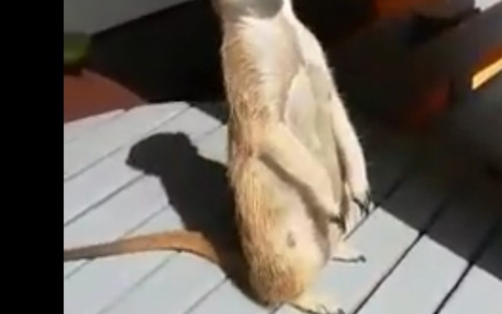 Zbiórka Na opłaty czynsz - zdjęcie główne