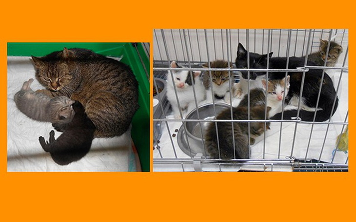 Zbiórka Pomóż nam dorosnąć - zdjęcie główne