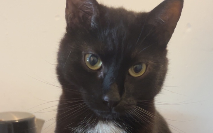 Zbiórka Usuniecie całego środka z ucha - zdjęcie główne