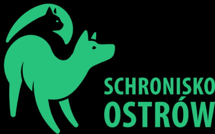 Zbiórka pomoc_schronisko w Ostrowie Wlk - zdjęcie główne