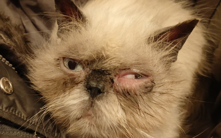 Zbiórka Maurycy zamiast skóry ma skorupę - zdjęcie główne