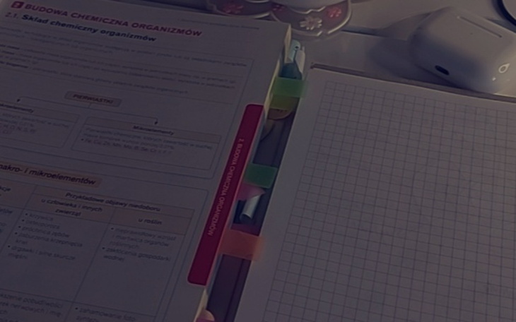 Zbiórka Na korepetycje do matury - zdjęcie główne