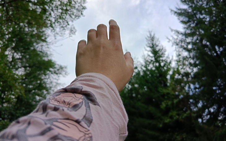 Ręka wyciągnięta w stronę nieba w lesie.