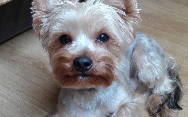 Zbiórka Herkules chce odzyskać sprawność - zdjęcie główne