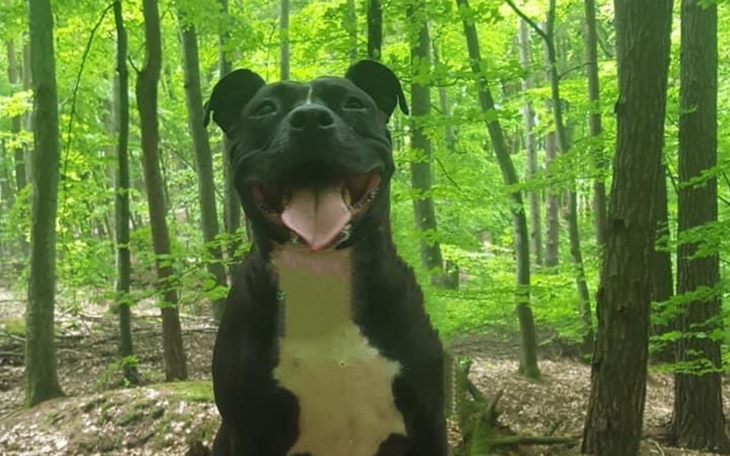 Zbiórka Pomoc na leczenie Grubej - zdjęcie główne