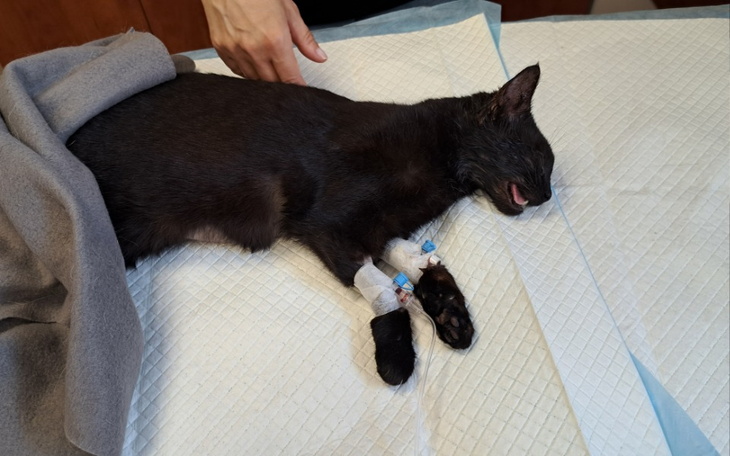 Zbiórka Iskierka, Klusek i Balbinka - zdjęcie główne