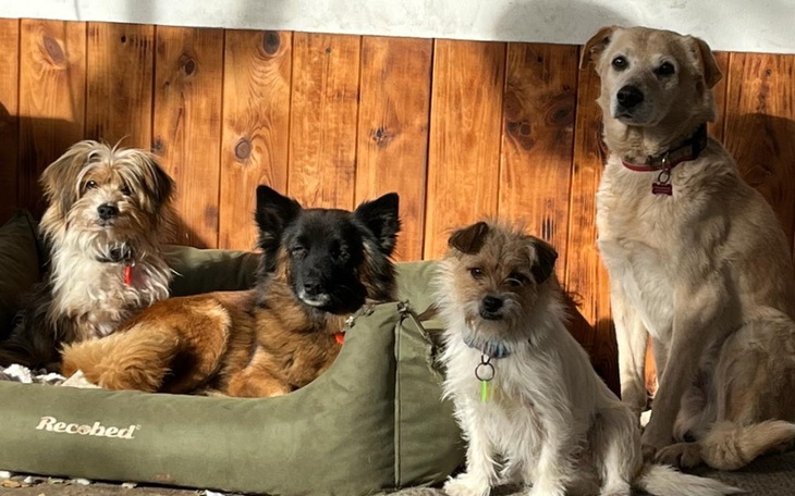 Zbiórka Pomieszczenie dla Zaciszaków - zdjęcie główne