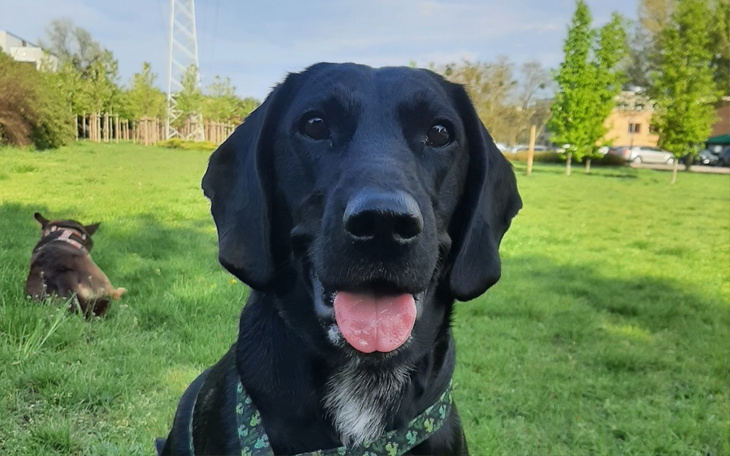 Zbiórka Na operację kręgosłupa Negry - zdjęcie główne