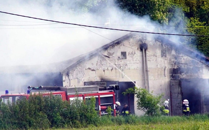 Zbiórka Odbudowa chlewa - zdjęcie główne