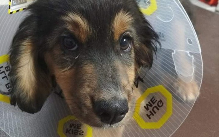 Zbiórka Ratujemy Mikusia,,, - zdjęcie główne