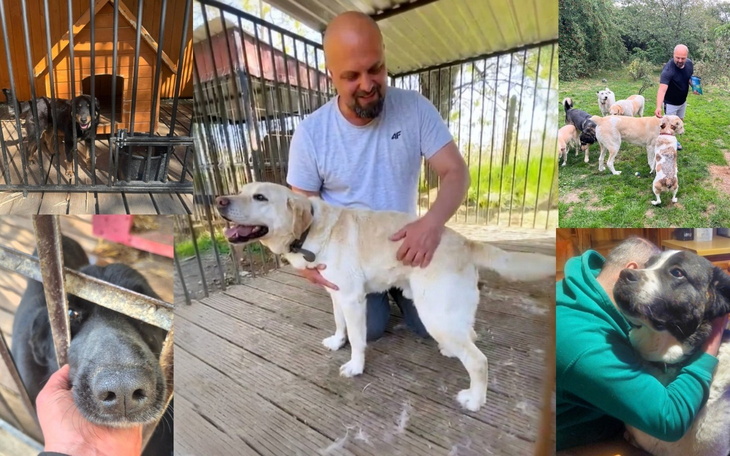Mężczyzna z psem w schronisku, otoczony innymi psami.