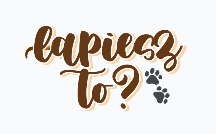 Zbiórka Łapiesz to- zbiórka - zdjęcie główne