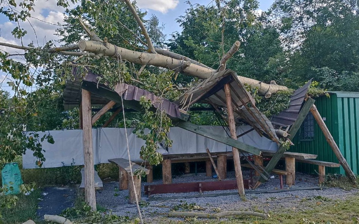 Zbiórka Daszek - stadion sportowy - zdjęcie główne