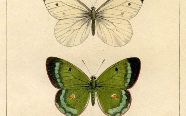 Zbiórka Zbieramy na potrzebne rzeczy do - zdjęcie główne