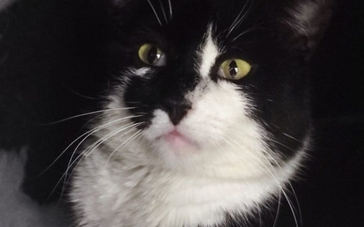 Zbiórka Zerwanie więzadła Brutuska - zdjęcie główne