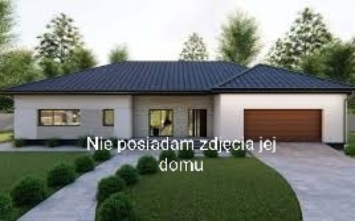 Nowoczesny dom z ogrodem, minimalistyczny styl architektoniczny.