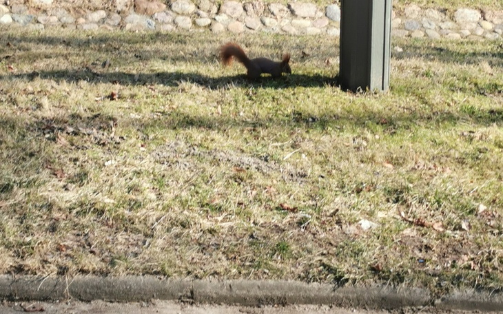 Zbiórka Zbieram na cztery kąty - zdjęcie główne