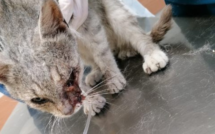 Zbiórka Światełko w tunelu... - zdjęcie główne