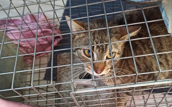 Zbiórka zróbmy coś DOBREGO - zdjęcie główne