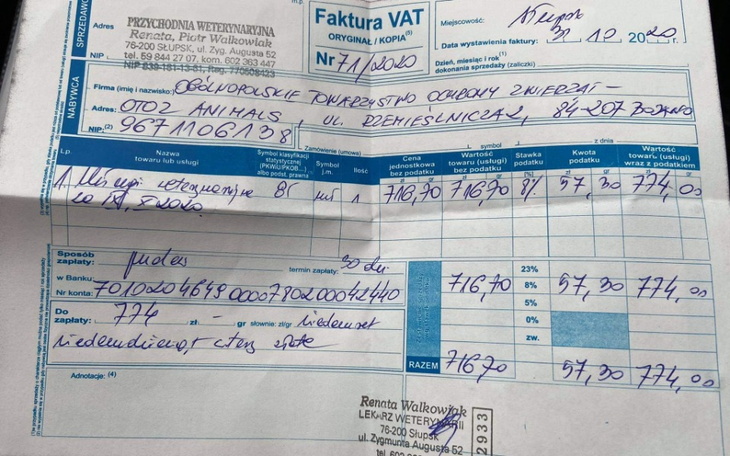 Zbiórka opłacenie faktury wet. - zdjęcie główne