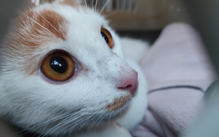 Zbiórka Czy to koniec domu tymczasowego - zdjęcie główne