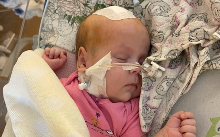 Zbiórka Leczenie Różyczki - zdjęcie główne