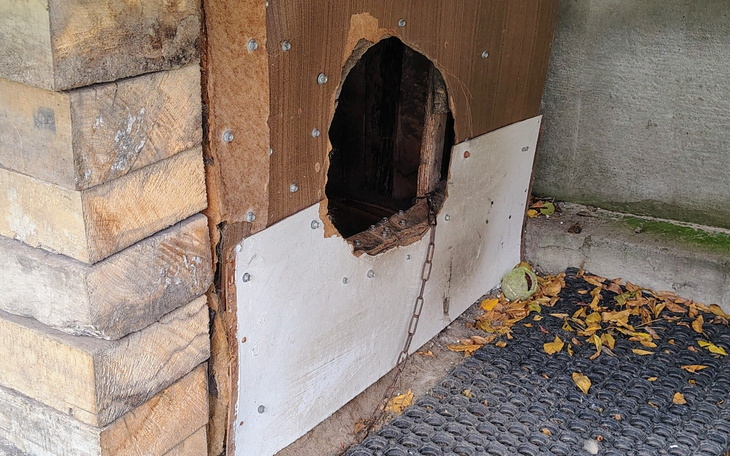 Domek dla zwierząt z uszkodzoną wejściem, otoczony liśćmi.