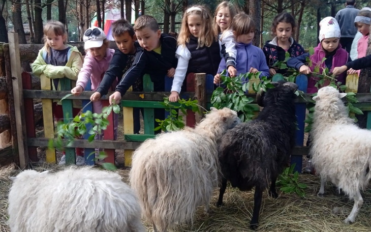 Zbiórka Na odbudowę Leśnej Zagrody - zdjęcie główne