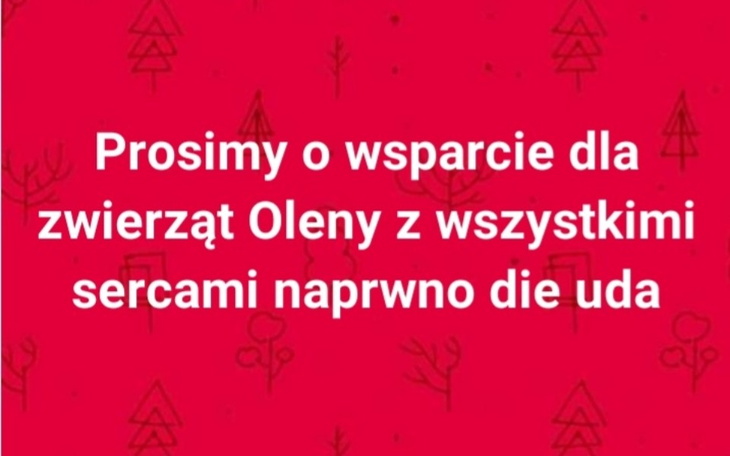 Zbiórka Transport zwierząt Oleny - zdjęcie główne