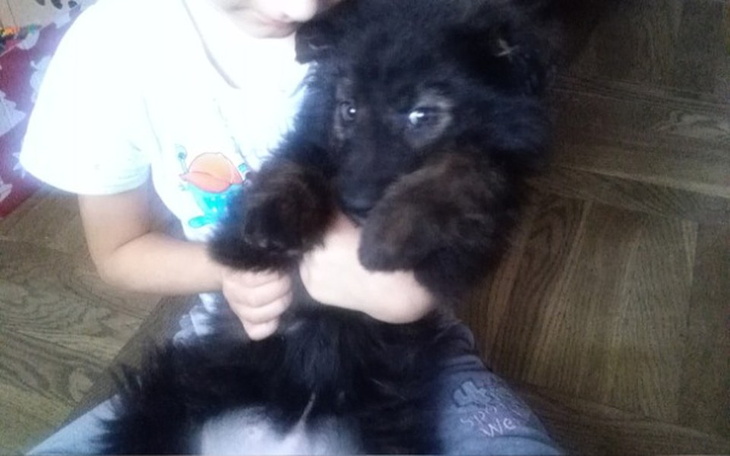 Zbiórka Leczenie Misi - zdjęcie główne