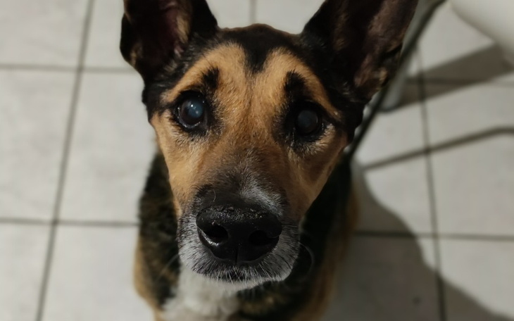 Zbiórka Ostatnia prosta Cyrylka - zdjęcie główne