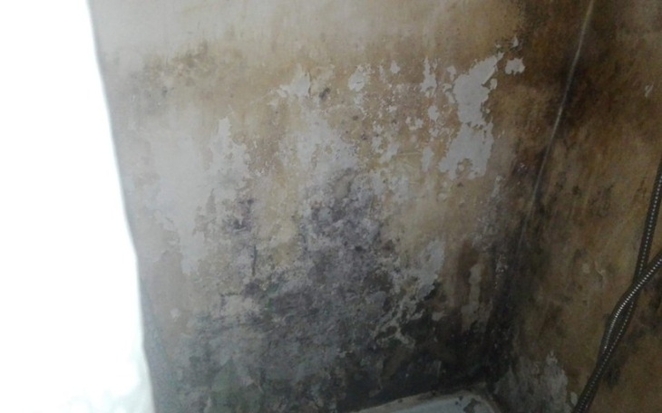 Zbiórka Na wyremontowanie mieszkania - zdjęcie główne