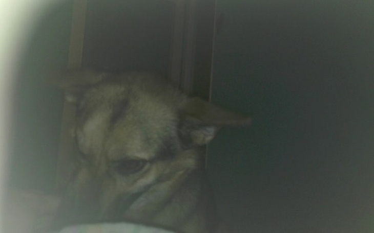 Zbiórka Troliki - zdjęcie główne