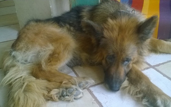 Zbiórka Miła...już się zużyła. - zdjęcie główne